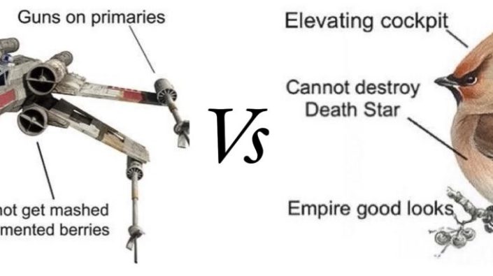 xwing-vs-waxwing