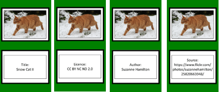 A complete set of attribution cards showing title, author, licence and source for an image of a cat.