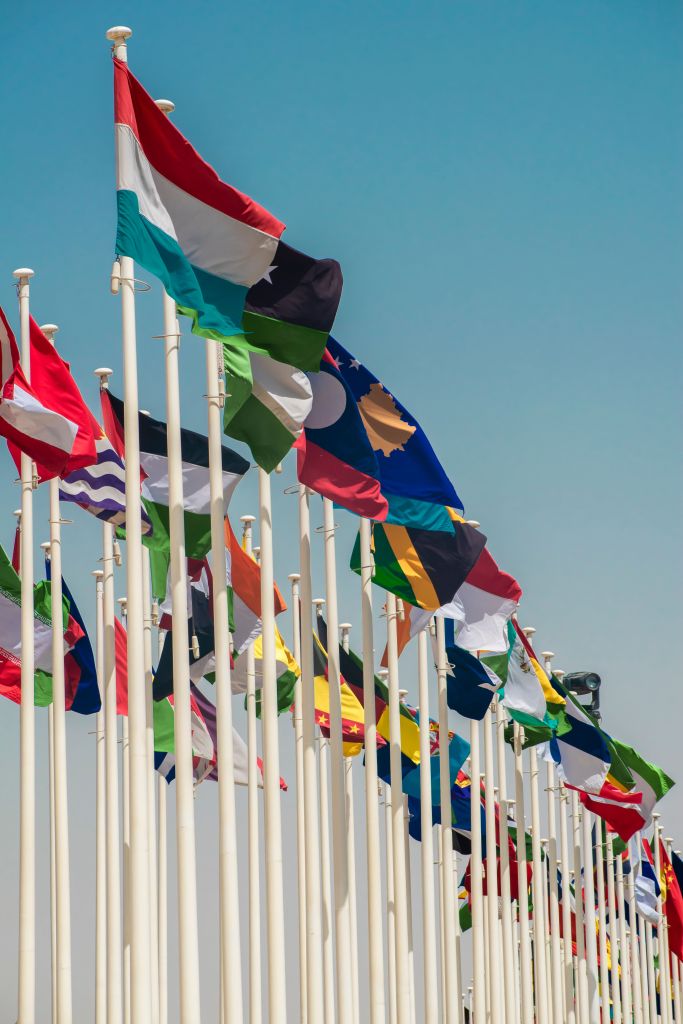 Photo of flags from around the world against a blue sky 